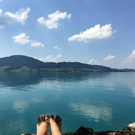 Seenaehe Mit Gratis Tiefgaragenplatz Apartment Seewalchen