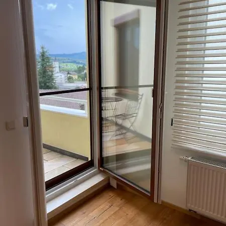 Seenaehe Mit Gratis Tiefgaragenplatz Apartment Seewalchen